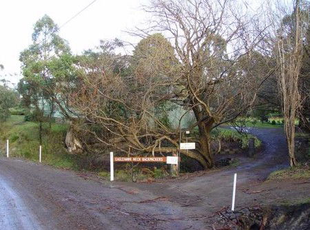 Eaglehawk Neck Backpackers - Accommodation Melbourne 1