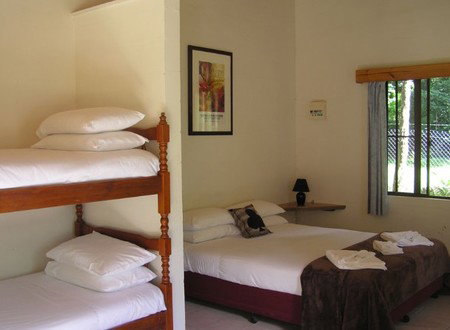 Lync-Haven Rainforest Retreat - Accommodation Melbourne 1