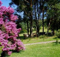 Figlea Cottages - Accommodation Melbourne