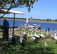 Mountain View Caravan and Mobile Home Village - Accommodation Melbourne