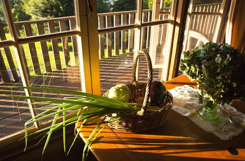 Berry Mountain Farm Mullengrove Cottage - Accommodation Melbourne 5