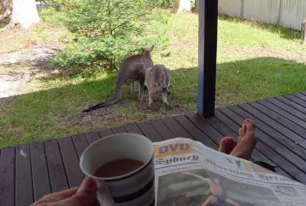 Erowal Bay NSW Accommodation Melbourne