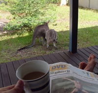 Bush and Bay Cottage - Accommodation Melbourne