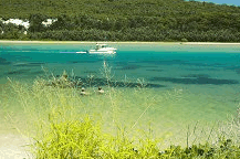 Wooli Camping and Caravan Park - Accommodation Melbourne