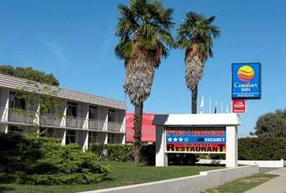 Comfort Inn Posthouse - Accommodation Melbourne 0