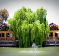 Perricoota Vines Retreat - Accommodation Melbourne