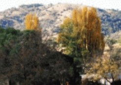 Appleby NSW Accommodation Melbourne