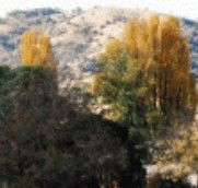 Birches Bed and Breakfast at Nundle - Accommodation Melbourne