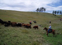 Camp Cobark - Accommodation Melbourne 2