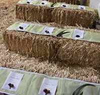 Bathurst Goldfields Accommodation - Accommodation Melbourne