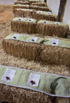 Bathurst Goldfields Accommodation - Accommodation Melbourne 0