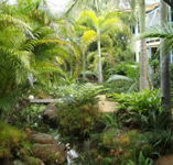 Chamomile Bed and Breakfast - Accommodation Melbourne