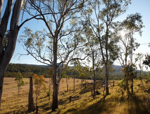 Spicers Canopy - Accommodation Melbourne 4