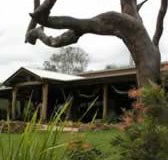 The Hollow Log Country Retreat - Accommodation Melbourne