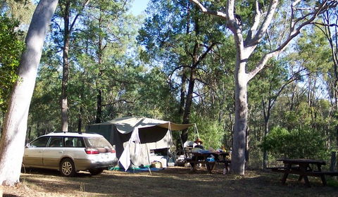 Myall Park Botanic Garden - Accommodation Melbourne 0