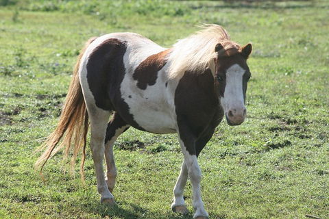 Lee Farmstay - Melbourne 4u 4