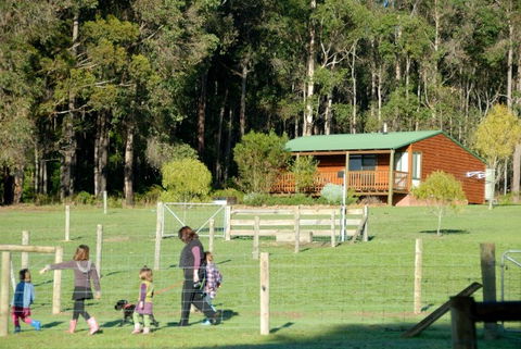 Diamond Forest Farm Stay - Melbourne 4u 0