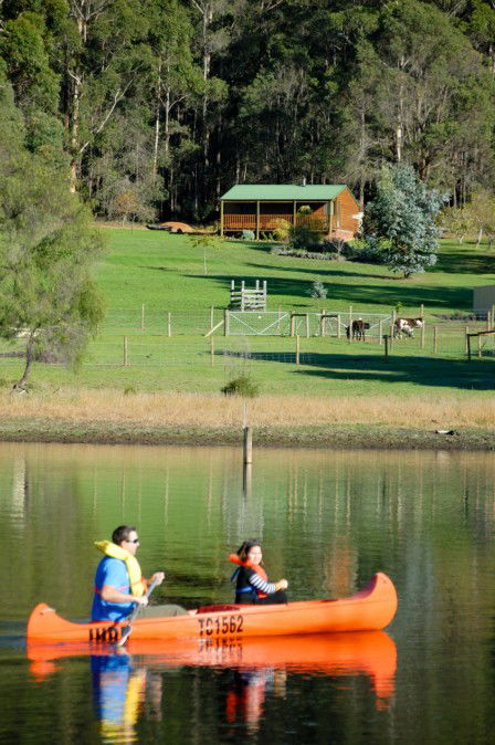 Diamond Forest Farm Stay - Melbourne 4u 2