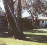 Winbi River Resort - Accommodation Melbourne
