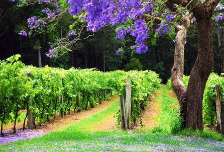  Accommodation Melbourne
