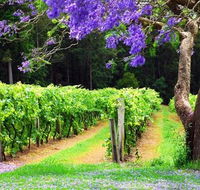 Bago Vineyards - Accommodation Melbourne