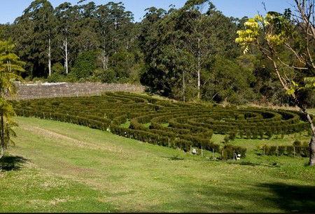 Bago Vineyards - Accommodation Melbourne 2