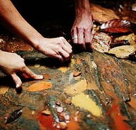 Daintree Eco Lodge And Spa - Accommodation Melbourne