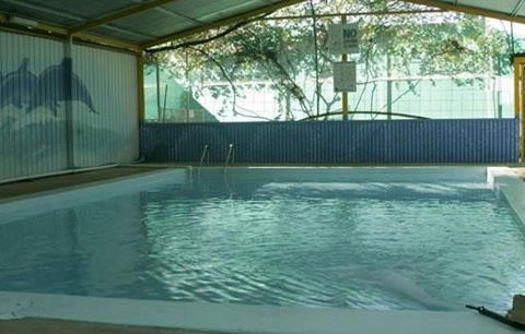 Wycliffe Well Holiday Park - Accommodation Melbourne 1