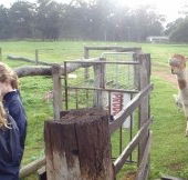 Boronia Farm Farmstay - Accommodation Melbourne