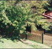 Apple Tree Cottage - Accommodation Melbourne