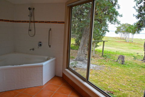 Wattle Point Waterfront Retreat - Accommodation Melbourne 5