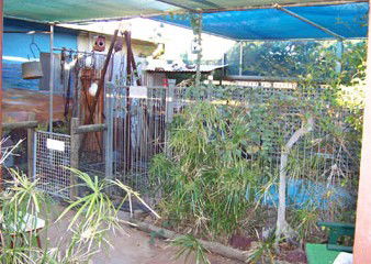 Safari Lodge Motel - Melbourne 4u 1