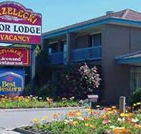 Strzelecki Motor Lodge - Accommodation Melbourne