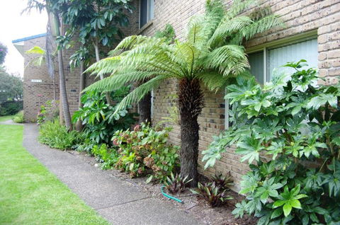 Beachfront Units Merimbula - Accommodation Melbourne 3