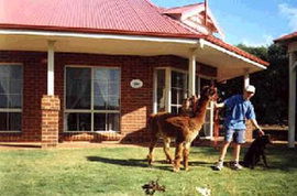  Accommodation Melbourne
