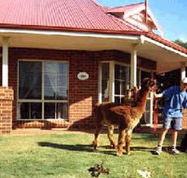 Brilea Cottages - Accommodation Melbourne