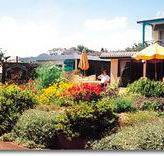 Best Western Applegum Inn Motel - Toowoomba - Accommodation Melbourne