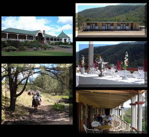 Bestbrook Mountain Resort - Accommodation Melbourne 1