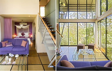 EcOasis - Accommodation Melbourne 1
