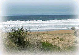 Hardys Bay NSW Accommodation Melbourne