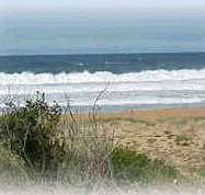 Mcgregors By The Bay - Accommodation Melbourne