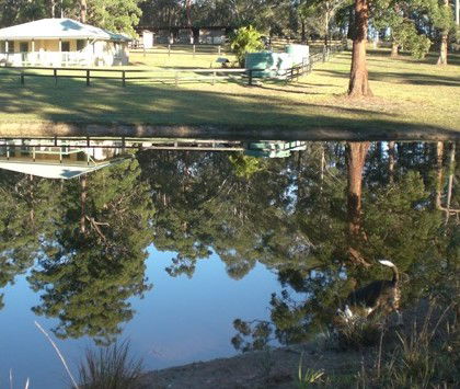Neds Bed Horse O Tel - Accommodation Melbourne 4