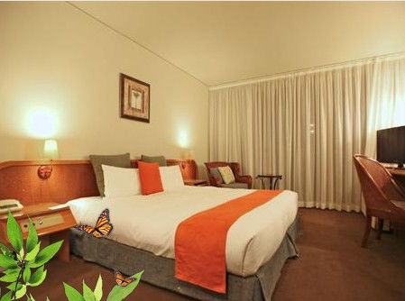 Absolute Beachfront Novotel Pacific Bay - Melbourne 4u 1
