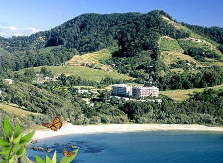 Absolute Beachfront Novotel Pacific Bay - Melbourne 4u 3