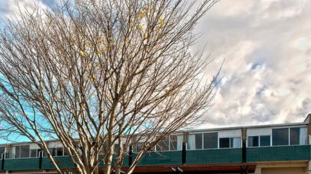St Helens Bayside Inn - Accommodation Melbourne 1