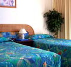 International Beach Resort - Accommodation Melbourne