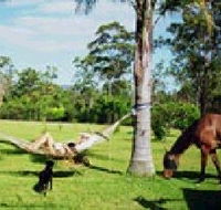 Neds Bed Horse O Tel - Accommodation Melbourne