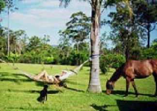 Neds Bed Horse O Tel - Accommodation Melbourne 0
