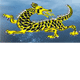 Dragon Phoenix Motel amp Restuarant - Accommodation Melbourne