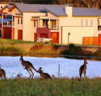 Grand Mercure The Vintage Hunter Valley - Accommodation Melbourne